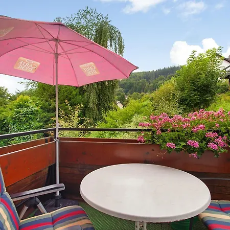 Haus Schoenblick Daire Willingen (Upland)