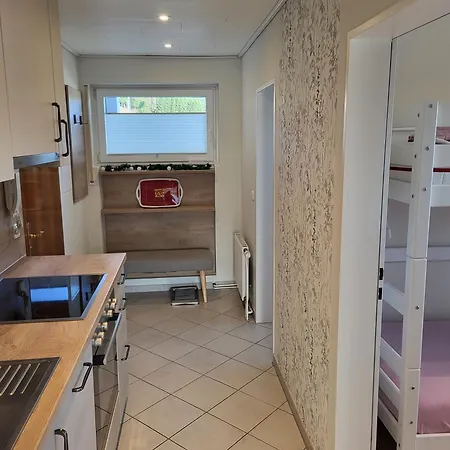 Haus Schoenblick アパート ヴィリンゲン