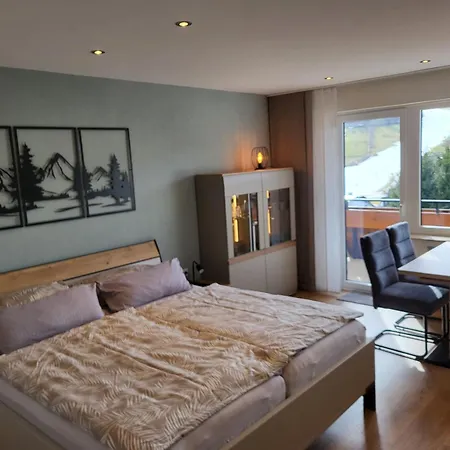 Haus Schoenblick Daire Willingen (Upland)